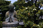 Praying Bhudda Japanese flower garden