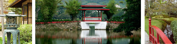 Usui Reiki Ryoho Japanese Zen Garden